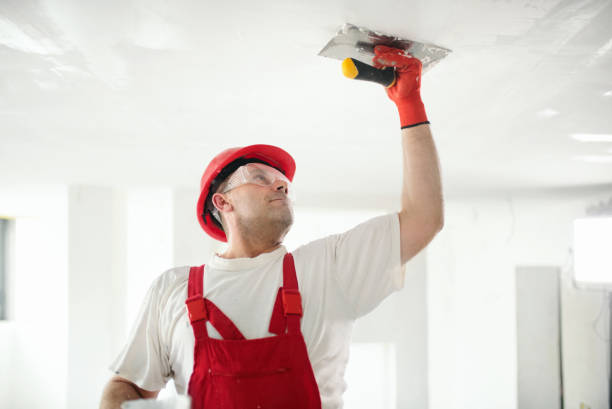 Best Eco-Friendly and Low-VOC Painting  in Palestine, TX